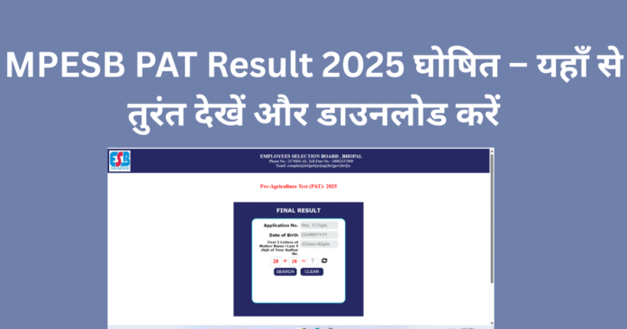 IBPS RRB भर्ती 2025 कुल 13217 पदों पर आवेदन शुरू (1) MPESB PAT Result 2025 घोषित – यहाँ से तुरंत देखें और डाउनलोड करें